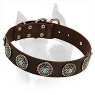 Stylish Wide Amstaff Leather Dog Collar With Blue Stones  Stylish Wide Amstaff Leather Dog Collar With Blue Stones