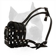 Everyday Light Weight Super Ventilated Dog Muzzle  Everyday Light Weight Super Ventilated Dog Muzzle
