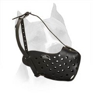 Durable Leather American Staffordshire Terrier Dog Muzzle  Durable Leather American Staffordshire Terrier Dog Muzzle