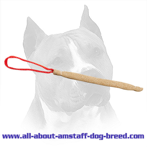 Jute Amstaff Bite Tug For Puppy Training