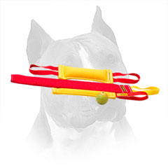 Amstaff French Linen Bite Training Set with Stitched Nylon Loops