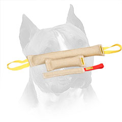 Jute Bite Training Set for Amstaff with Nylon Loops