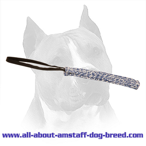 French Linen Bite Amstaff Tug for Prey Drive Developing