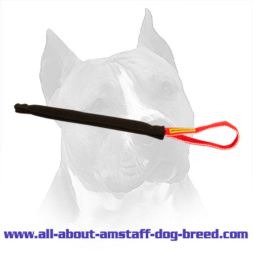 French Linen Bite Tug For Amstaff Puppy Training