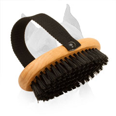 Amstaff Bristle Brush With Wooden Surface