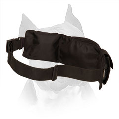 Amstaff Nylon Treat Pouch for Walking and Training