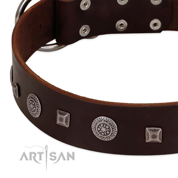 Leather dog collar with durable elements for safe canine handling