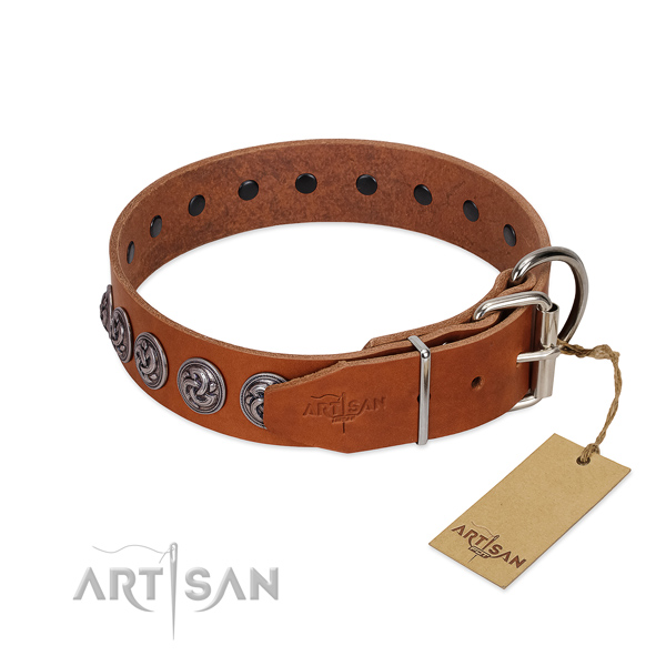 Corrosion resistant hardware on leather dog collar for stylish walking your dog
