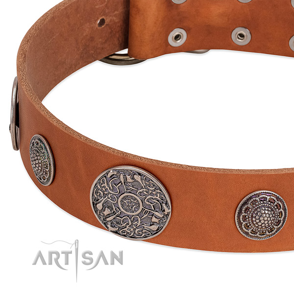Corrosion resistant adornments on full grain genuine leather dog collar
