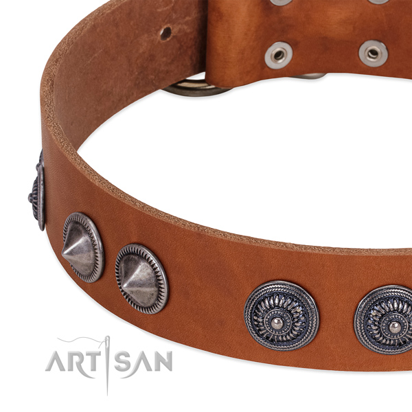 Perfect fit leather dog collar with corrosion proof traditional buckle