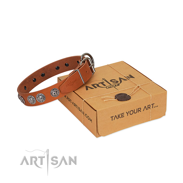 Fashionable full grain leather collar for your four-legged friend daily walking