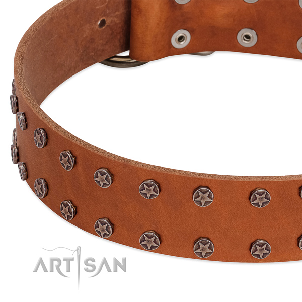 Significant genuine leather dog collar for easy wearing