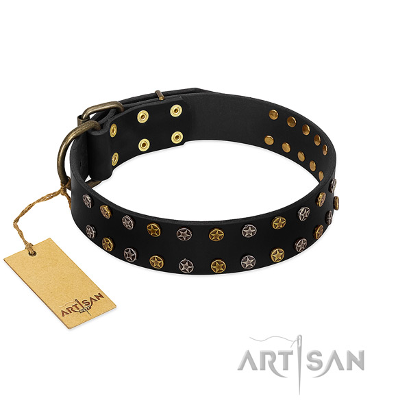Designer leather dog collar with rust resistant studs