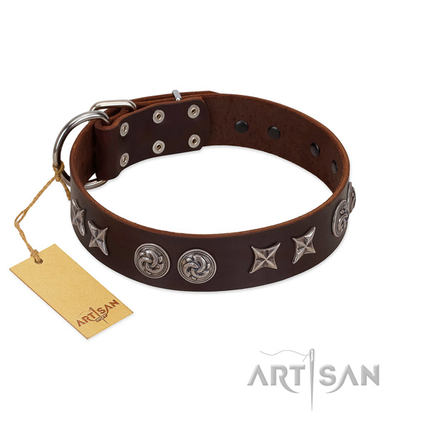 Decorated full grain natural leather dog collar for daily walking