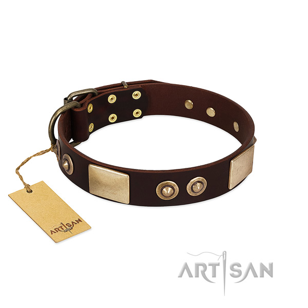 Easy wearing full grain leather dog collar for everyday walking your canine