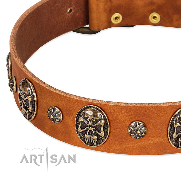 Reliable embellishments on natural genuine leather dog collar for your dog