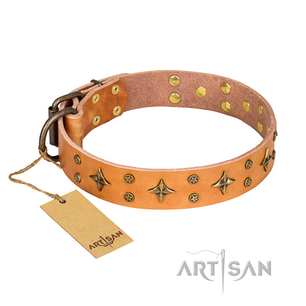 Handy use dog collar of finest quality genuine leather with adornments