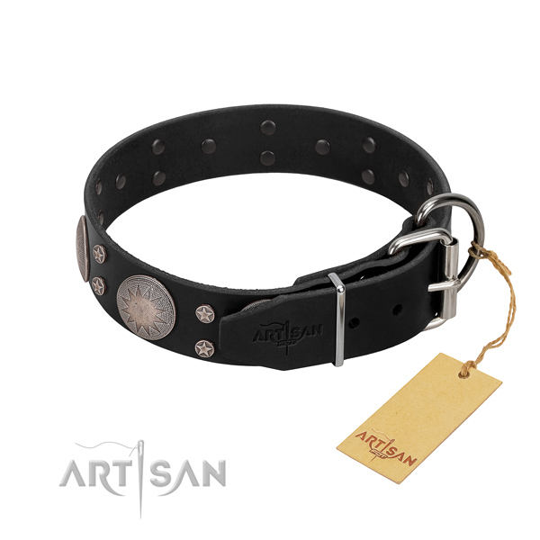 Unique embellishments on full grain leather dog collar for stylish walking