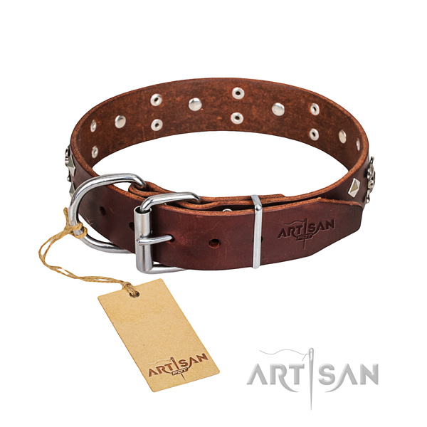 Walking dog collar of top notch natural leather with decorations