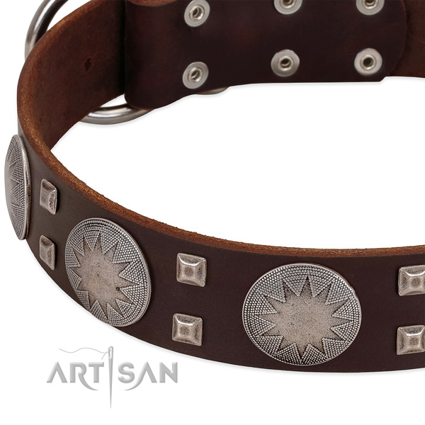 Fancy walking high quality full grain natural leather dog collar