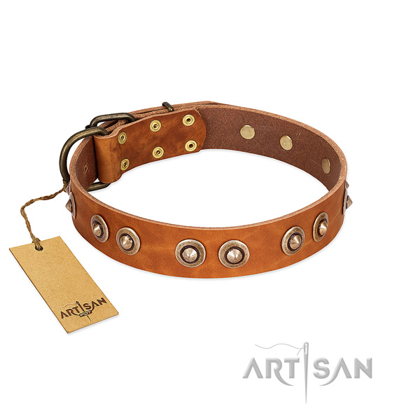 Corrosion proof embellishments on full grain leather dog collar for your canine