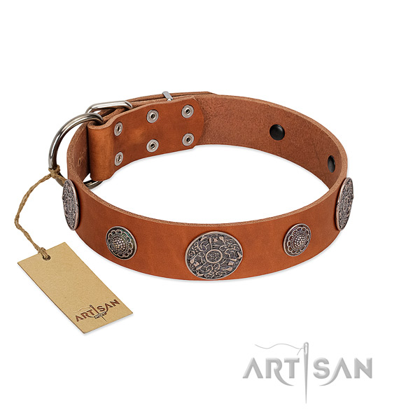 Convenient full grain natural leather collar for your stylish doggie