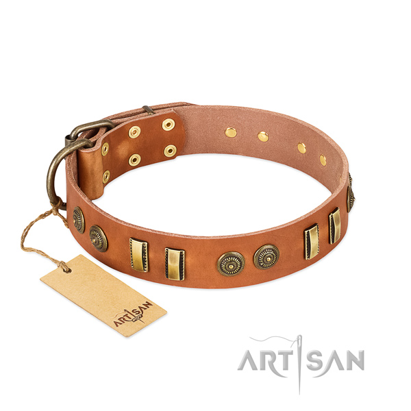 Corrosion proof D-ring on genuine leather dog collar for your pet