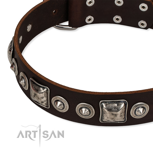Full grain leather dog collar made of top notch material with embellishments
