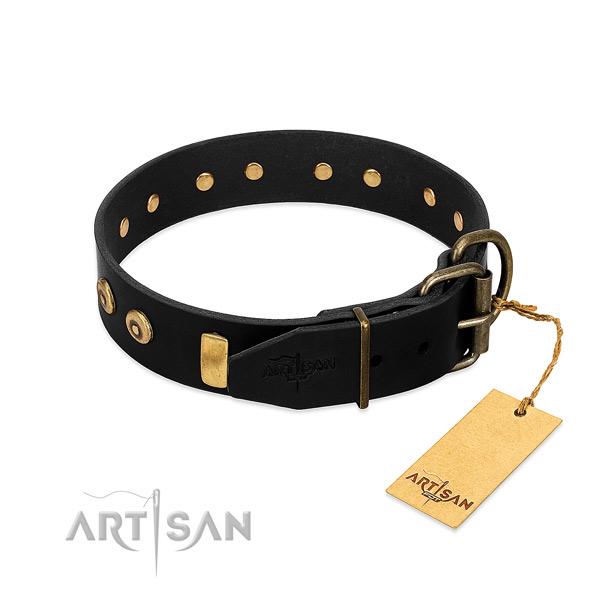 Genuine leather dog collar with awesome adornments for stylish walking