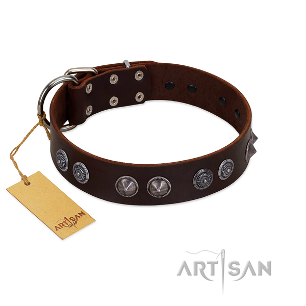 Full grain leather dog collar with impressive decorations for your pet