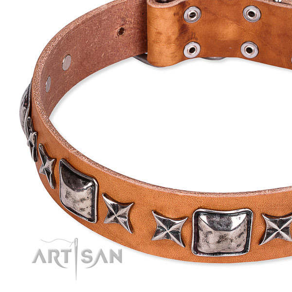 Handy use decorated dog collar of high quality full grain leather
