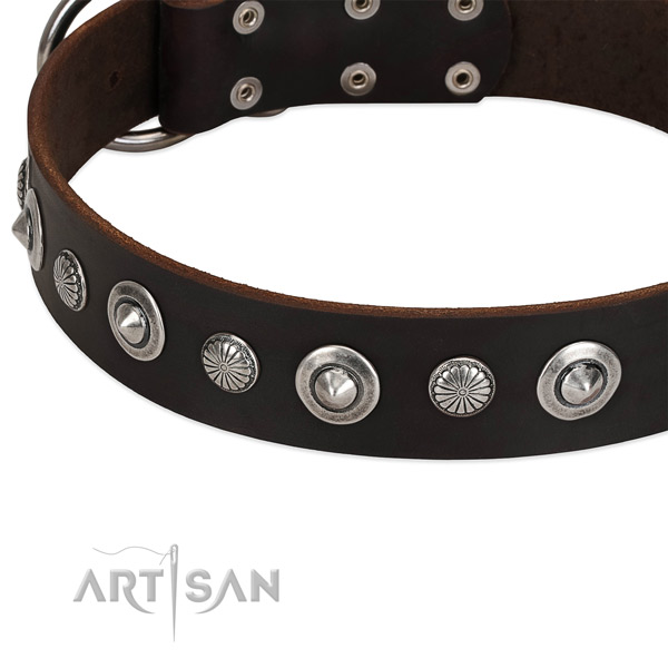 Inimitable studded dog collar of reliable full grain natural leather
