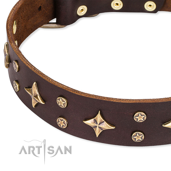 Everyday use decorated dog collar of top quality full grain genuine leather