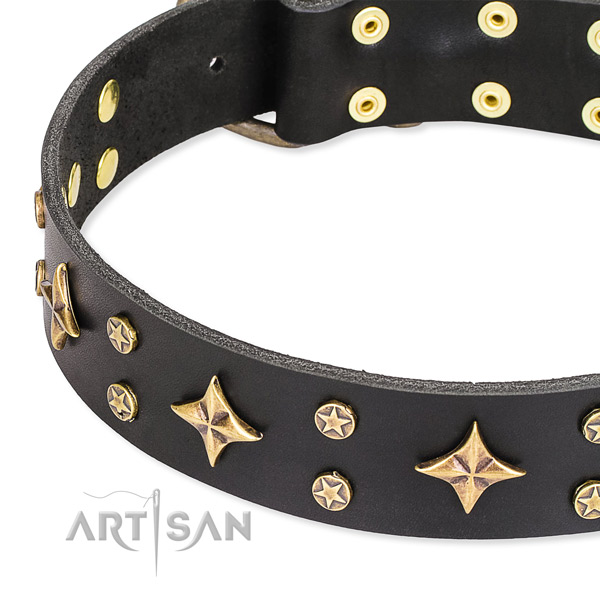 Everyday use adorned dog collar of quality leather