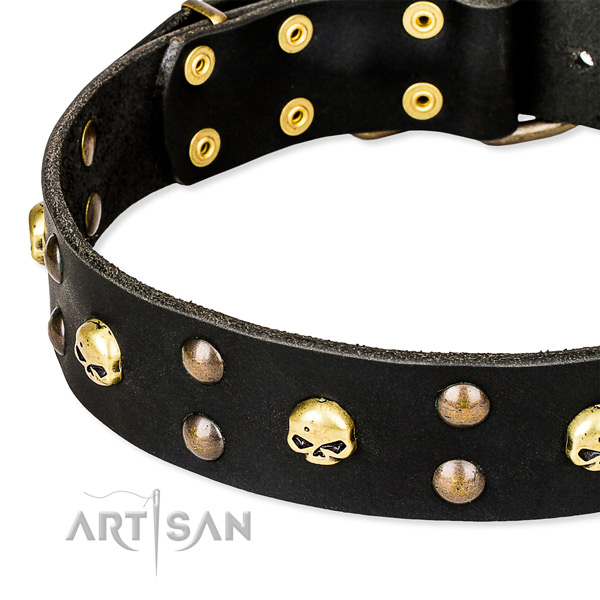 Comfortable wearing embellished dog collar of strong leather