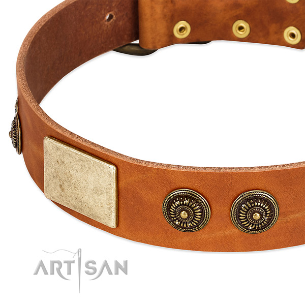 Incredible dog collar crafted for your handsome dog