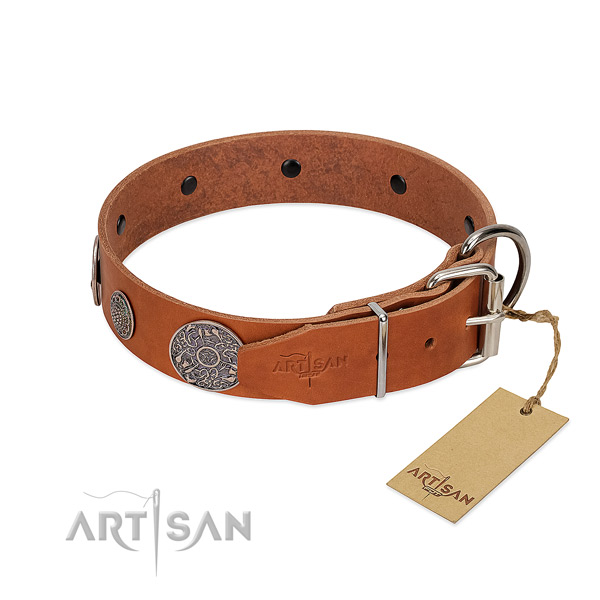 Inimitable full grain natural leather collar for your attractive doggie