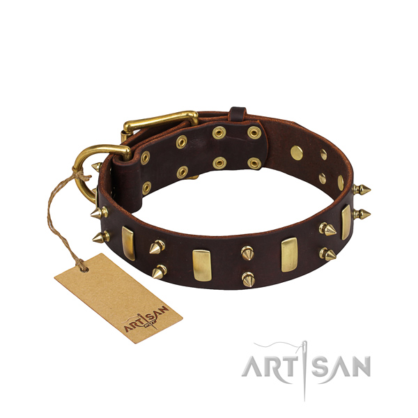 Daily use dog collar of reliable genuine leather with embellishments