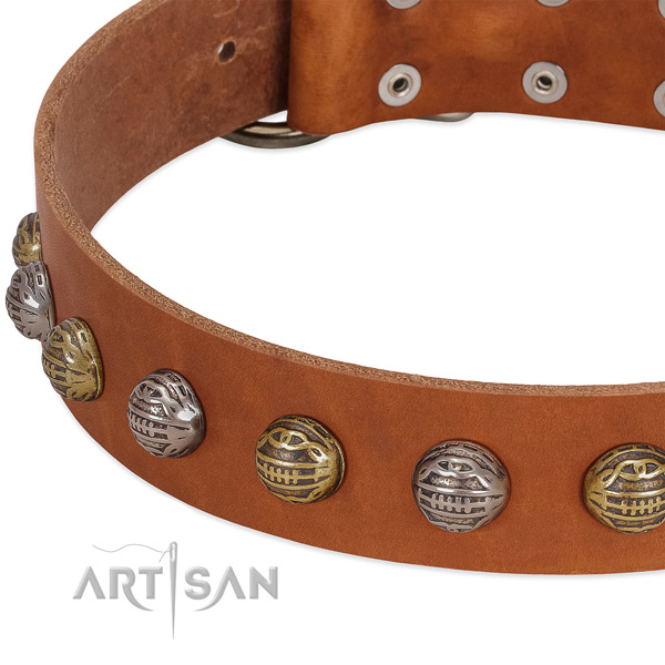 Strong buckle on leather collar for basic training your doggie