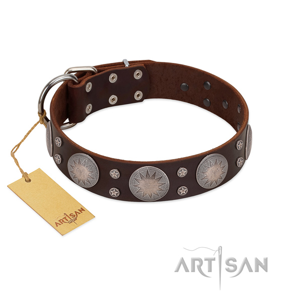 Designer leather collar for your attractive canine