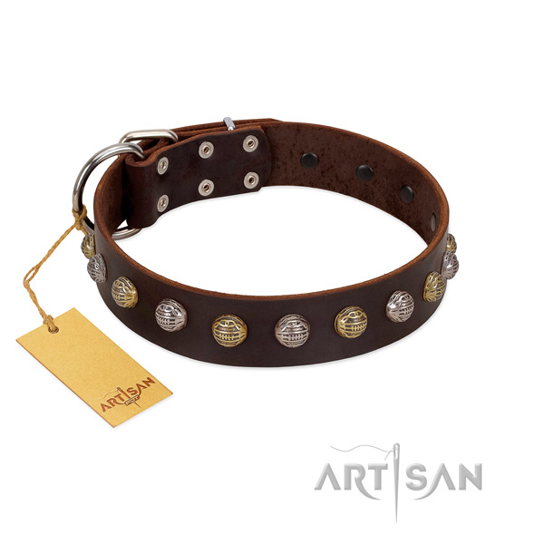 Corrosion resistant fittings on leather dog collar for walking your four-legged friend