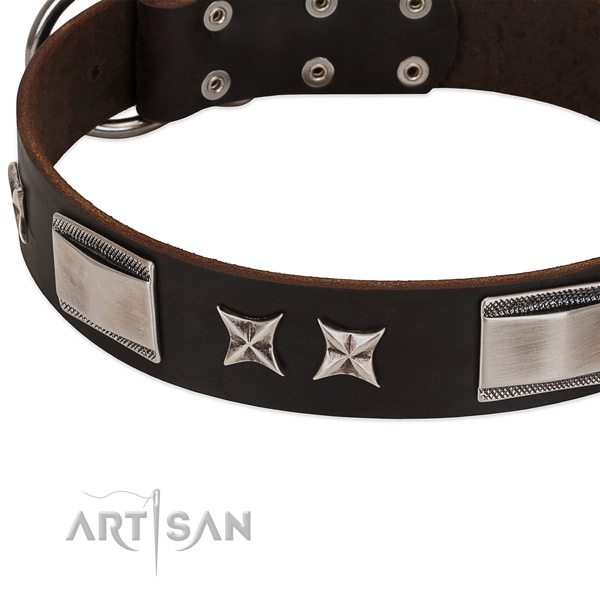 Convenient collar of leather for your handsome dog