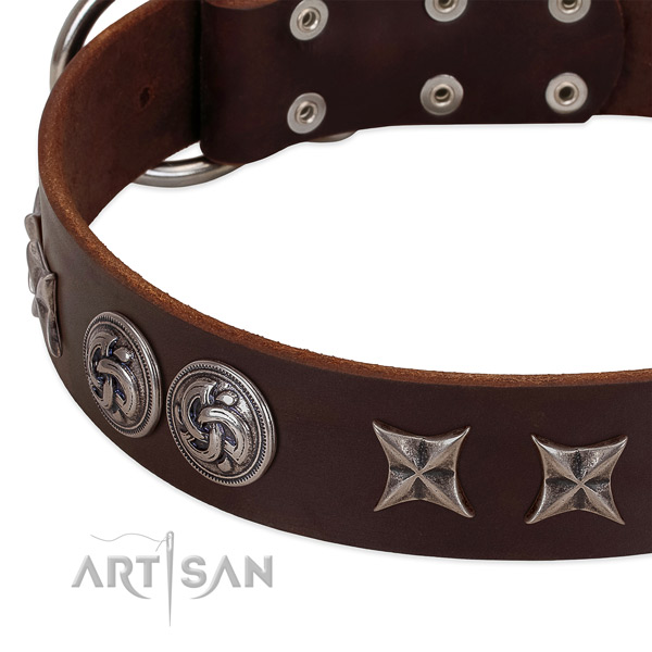 Natural leather collar with extraordinary decorations for your dog