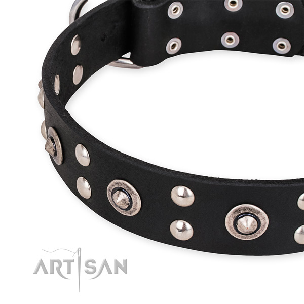 Leather collar with rust-proof hardware for your handsome pet