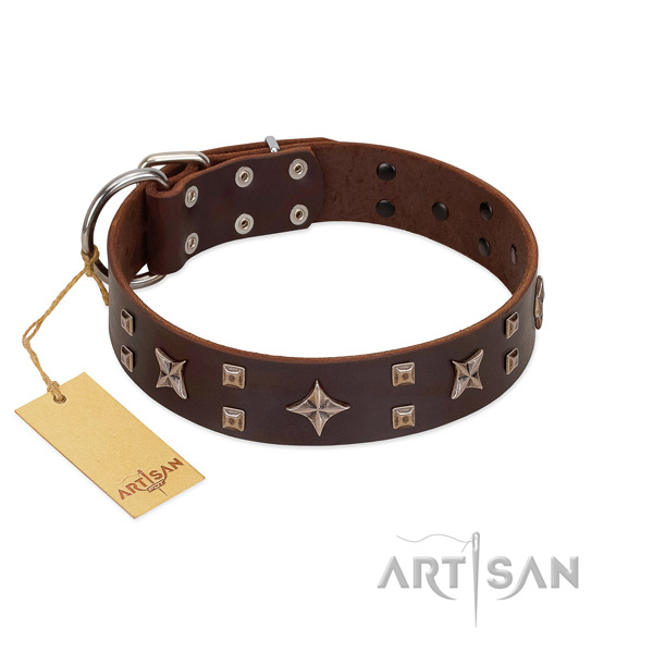Top notch leather dog collar for everyday walking your four-legged friend