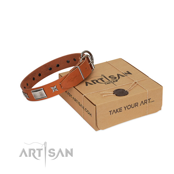 Flexible natural leather dog collar with rust resistant hardware