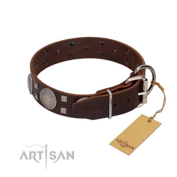 Extraordinary full grain genuine leather dog collar for walking your canine