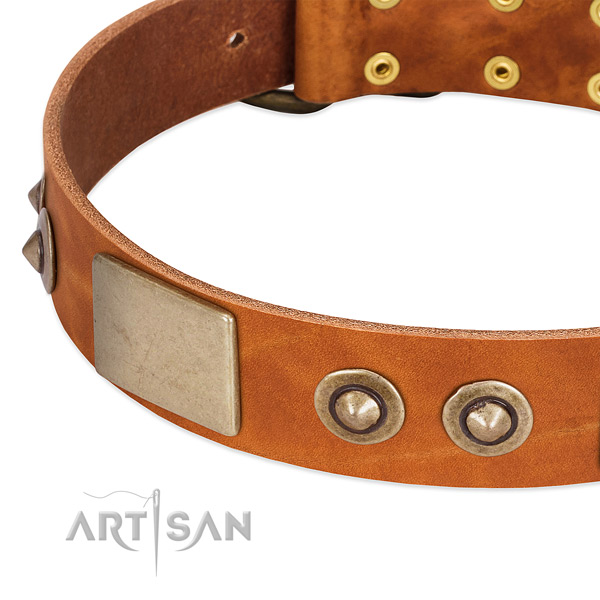 Durable buckle on leather dog collar for your pet