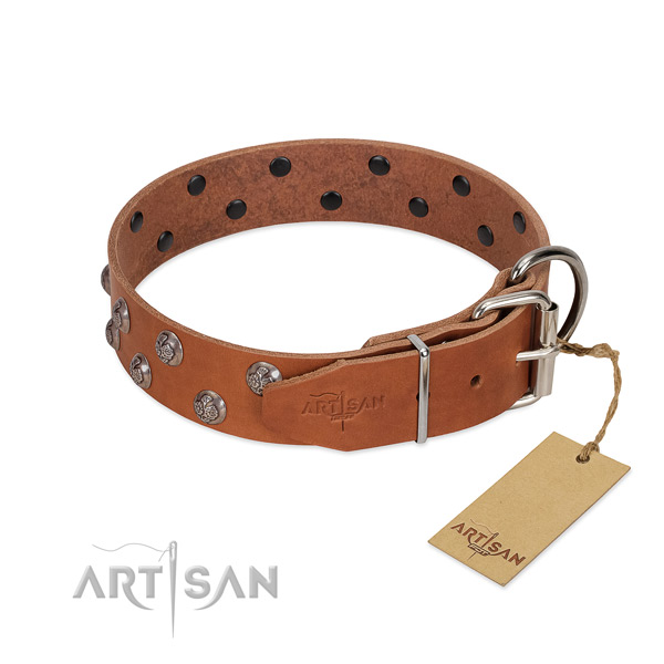 Durable hardware on decorated full grain leather dog collar