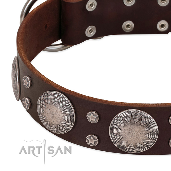 Quality natural leather dog collar with embellishments for your attractive doggie